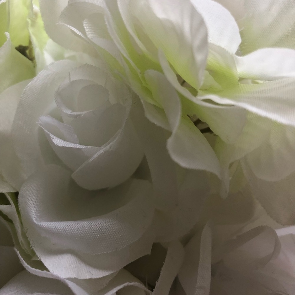 Meet your Posher, Rnasary26